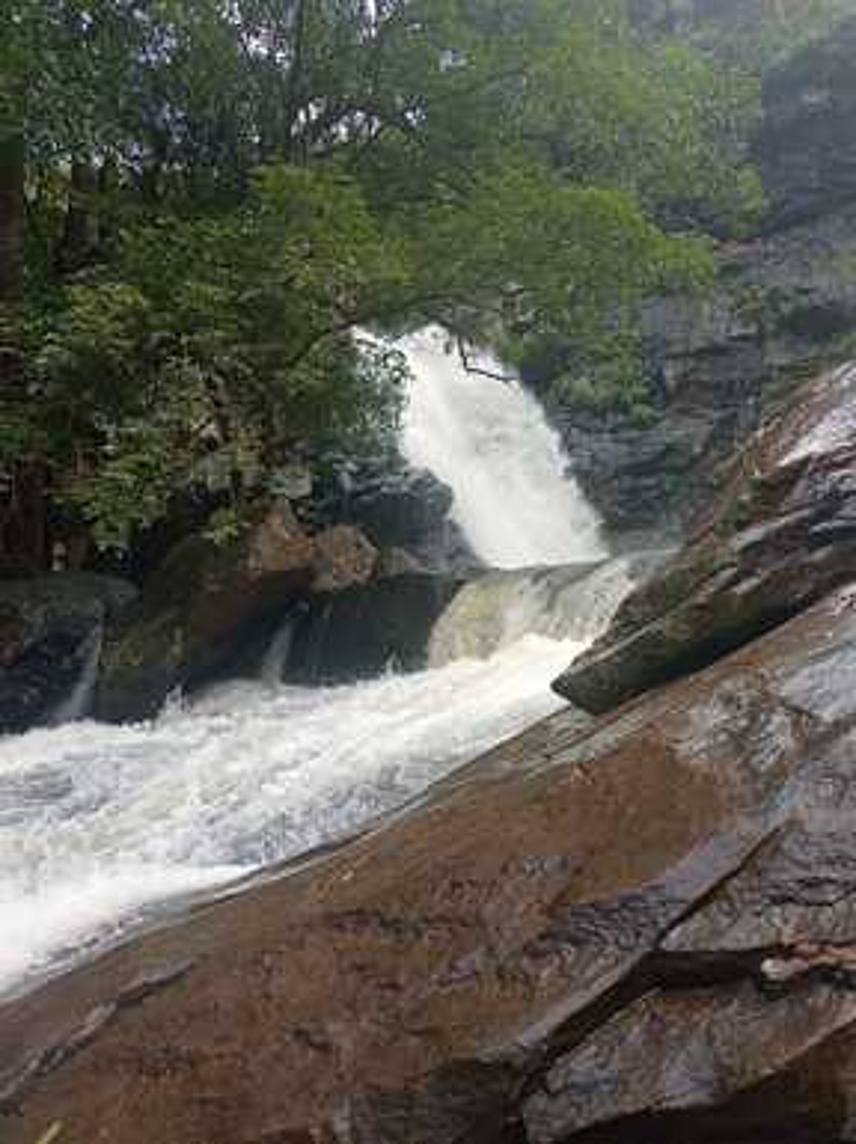 பச்சமலை கோரையாற்று அருவிக்குச் செல்லும் சாலை சீரமைக்கப்படுமா?