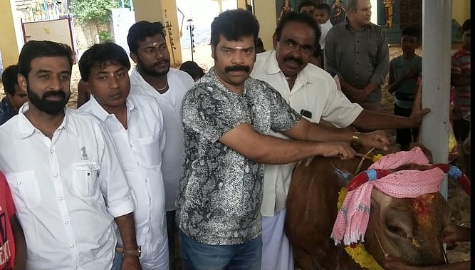 சந்தையடியில் மாட்டுப் பொங்கல் விழா