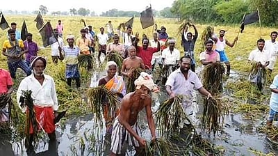 நாகை அருகே மழை நிவாரணம் கோரி வயலில் கருப்பு கொடிகளுடன் விவசாயிகள் போராட்டம்