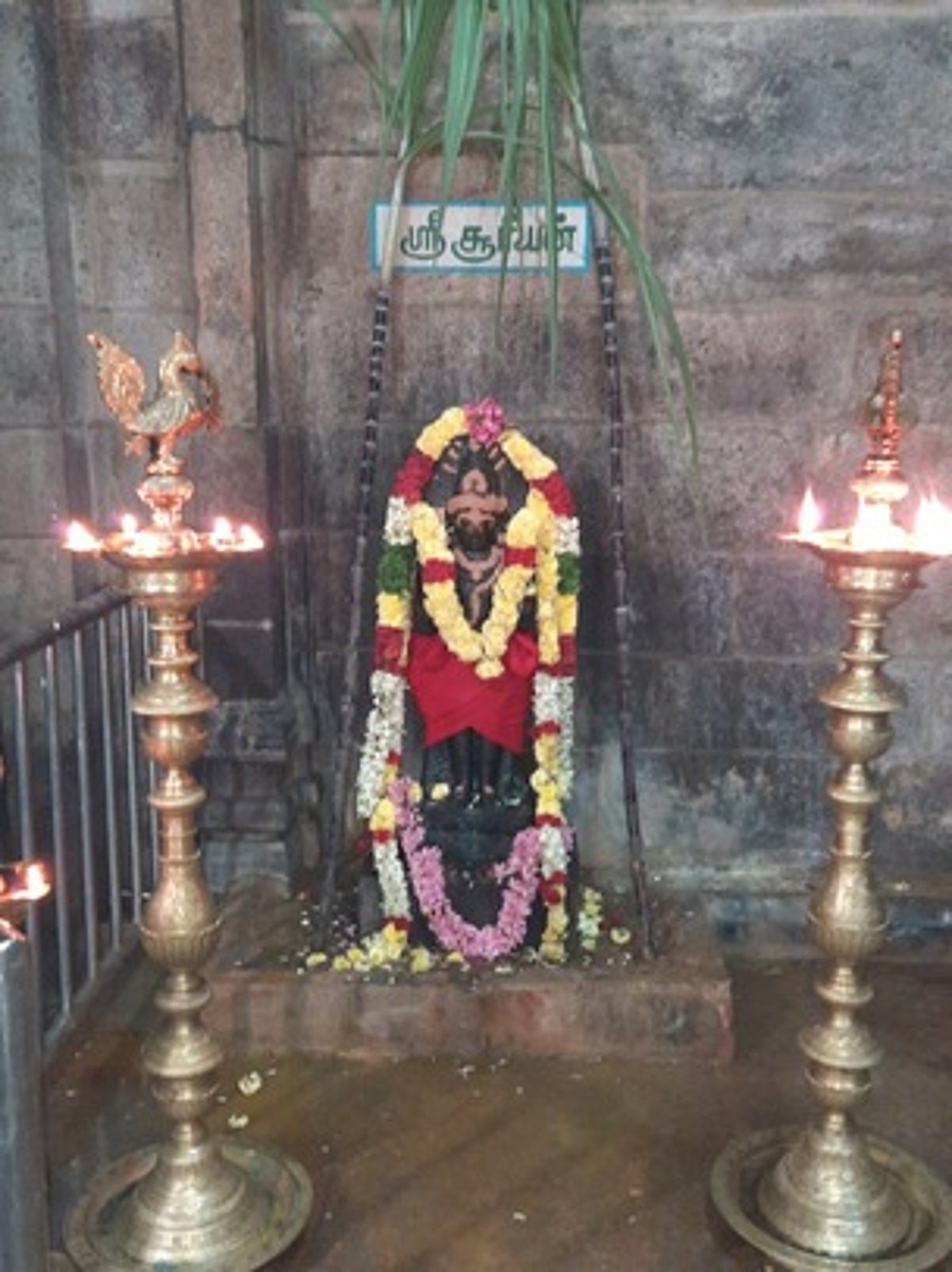 ஆலங்குடி ஆபத்சகாயேஸ்வரா் கோயிலில் பொங்கல் சிறப்பு வழிபாடு