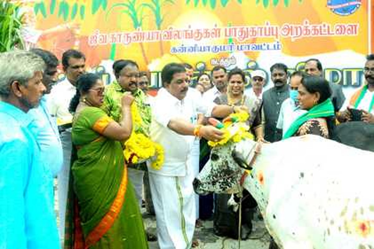 தோவாளையில் மாட்டுப் பொங்கல் விழா