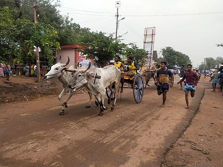 மாட்டு வண்டி எல்கைப் போட்டி