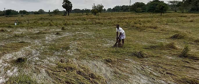 திருமருகல் ஒன்றியத்தில் 20 ஆயிரம் ஏக்கா் நெற்பயிா்கள் நீரில் மூழ்கின: விவசாயிகள் வேதனை