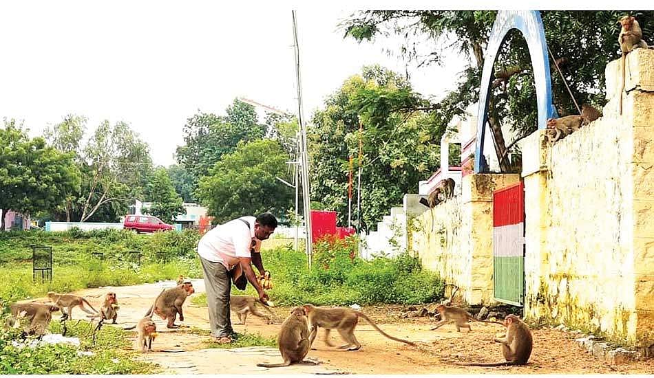 சிறையில் பூத்த மனிதாபிமானம்