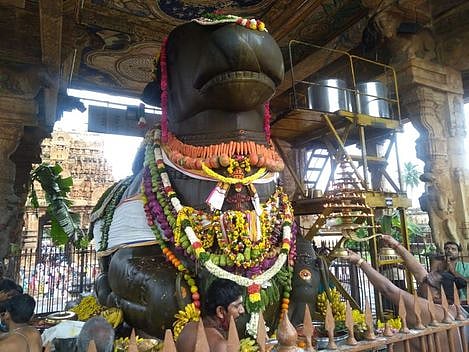 மகர சங்கராந்தி பெருவிழா: பெரிய கோயிலில் மகா நந்திகேசுவரருக்கு காய்கனி அலங்காரம்