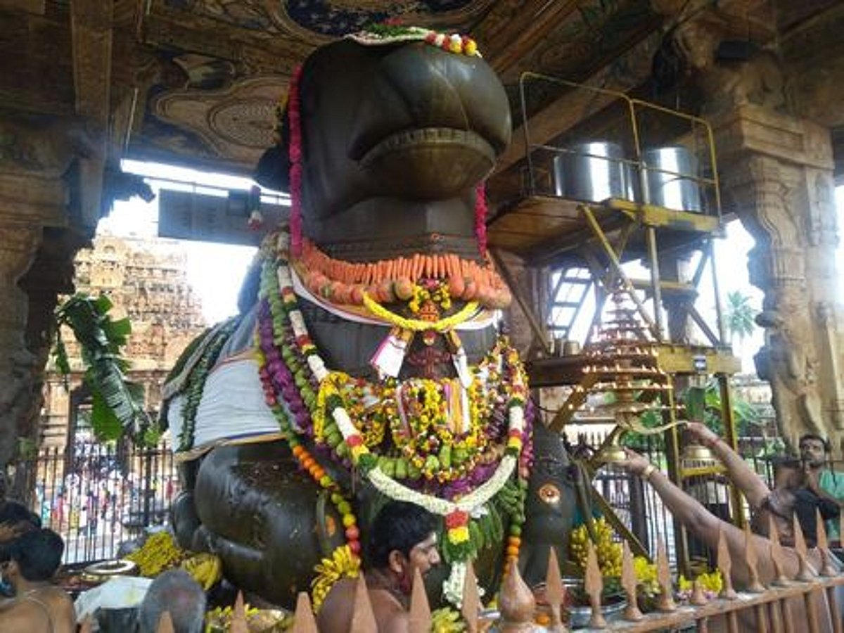 மகர சங்கராந்தி பெருவிழா: பெரிய கோயிலில் மகா நந்திகேசுவரருக்கு காய்கனி அலங்காரம்