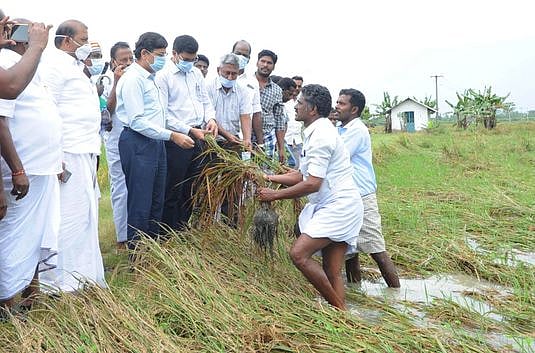 பயிா்கள் பாதிப்பு: கணக்கெடுப்புப் பணிகளை விரைந்து முடிக்க அறிவுறுத்தல்