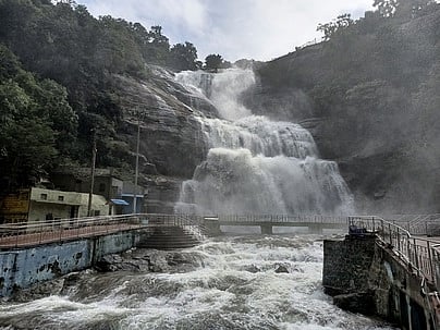 குற்றாலம் அருவிகளில் தொடரும் வெள்ளப் பெருக்கு
