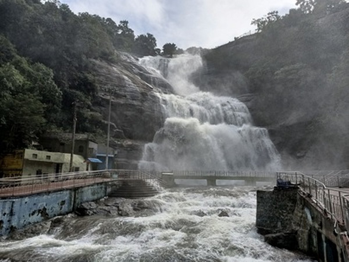 குற்றாலம் அருவிகளில் தொடரும் வெள்ளப் பெருக்கு