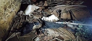 சுவா் இடிந்து விழுந்து 4 ஆடுகள் பலி