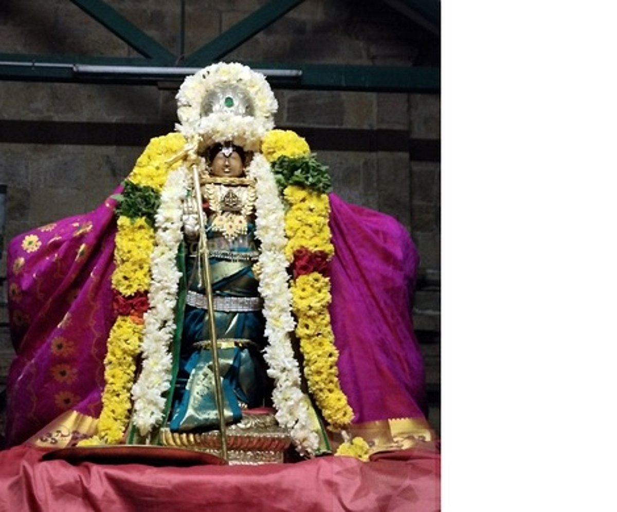 திருக்கண்ணமங்கை பக்தவத்சலப் பெருமாள் கோயிலில் சிறப்பு வழிபாடு