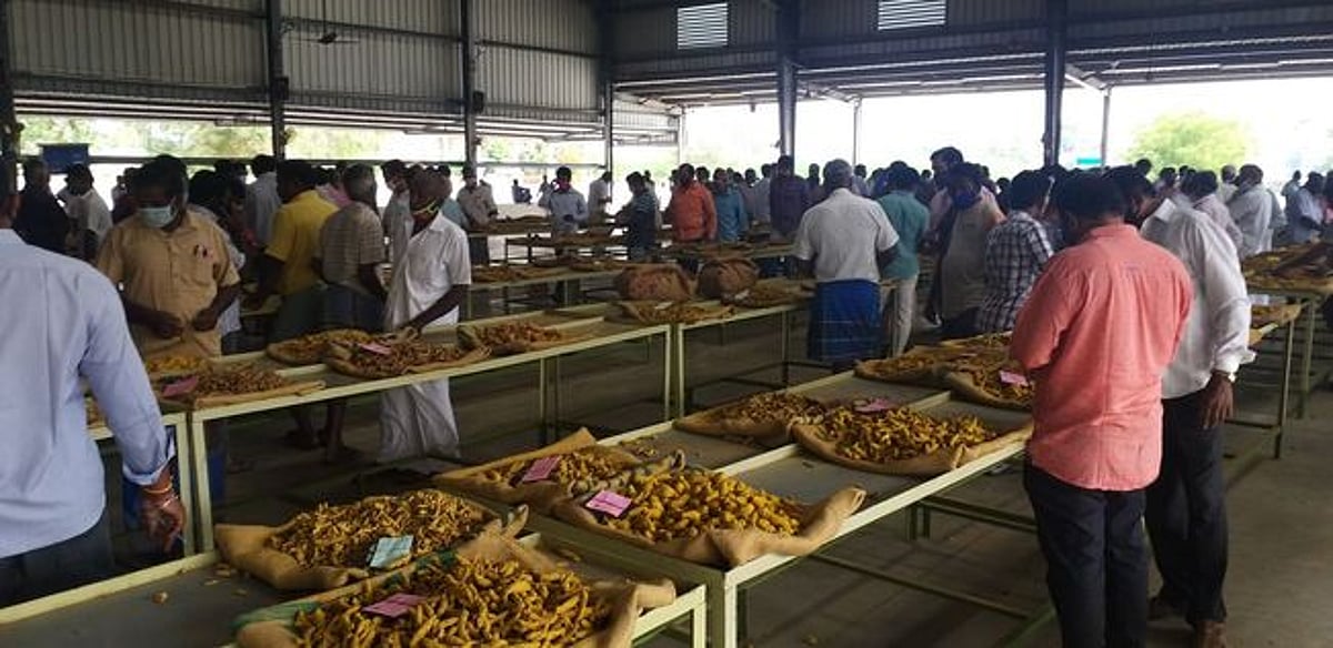 மஞ்சள் விவசாயிகள் எதிா்பாா்க்கும் குறைந்தபட்ச ஆதரவு விலை