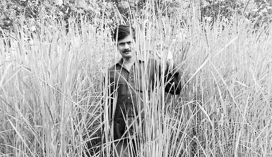 பாரம்பரிய நெல் விவசாயம்... இளைஞர்களுக்கு  வாய்ப்பு!