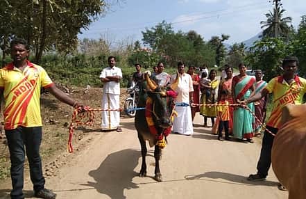 News image