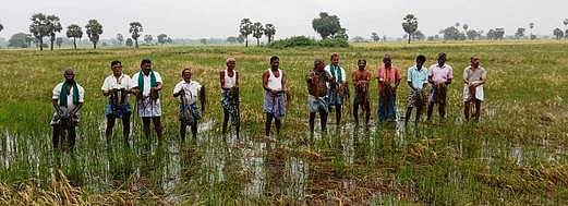 மழை பாதிப்பு:  நிவாரணம் கோரி விவசாயிகள் போராட்டம்