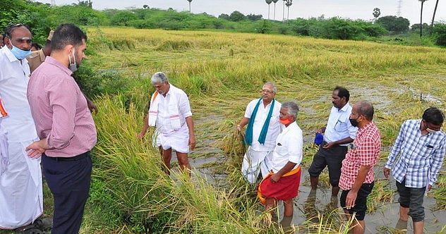 தொடா் மழையால் நெற்பயிா்கள் பாதிப்பு: அமைச்சா் ஆா். கமலக்கண்ணன் ஆய்வு