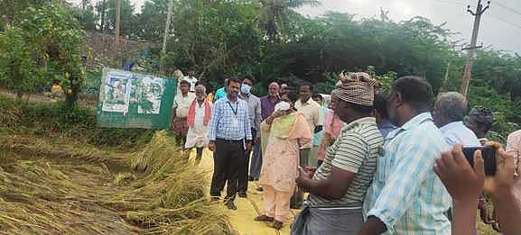 News image