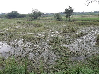 விவசாயிகள் தற்கொலைக்குத் தயாராகி விட்டனர்:  விவசாயி வேதனை
