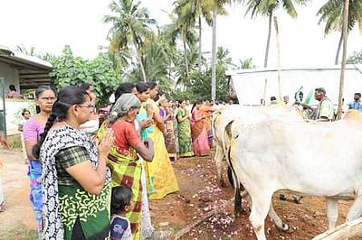 பெண்கள் பங்கேற்ற கோ பூஜை: நாட்டு மாடுகள் அணிவகுப்பு