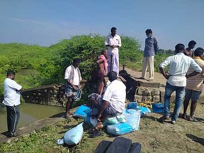 ஆா்.எஸ்.மங்கலம் பெரிய கண்மாய் உடைந்ததாக வதந்தி: அதிகாரிகள் கண்காணிப்பு