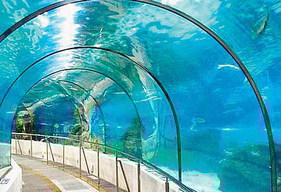 நீருக்கடியில் ரயில்