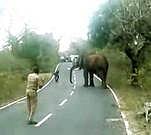 உதகை அருகே கிராமங்களில் உலவும் வன விலங்குகளைக் கட்டுப்படுத்த கோரிக்கை