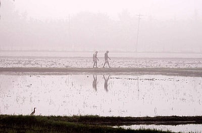 சென்னையில் பனி மூட்டம் - புகைப்படங்கள்