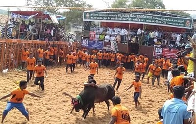 கூலமேட்டில் ஜல்லிக்கட்டு தொடங்கியது