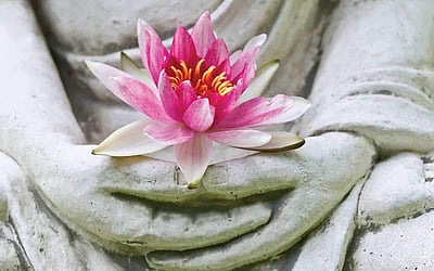 ஆயுள் காக்கும் ஆயுர்வேதம்: சுமூகம்... மகிழ்ச்சி... ஆரோக்கியம்!