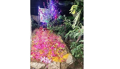 மறைந்த ஜல்லிக்கட்டு காளைக்கு சொந்த நிலத்தில் நினைவகம்