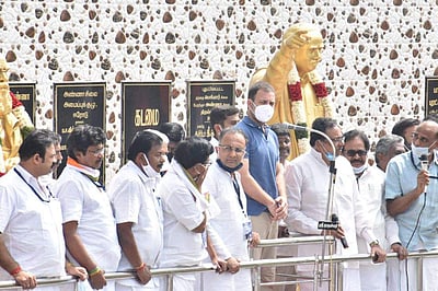 தமிழக மக்களின் போர் வீரனாக தில்லியில் செயல்படுவேன்: ராகுல் காந்தி