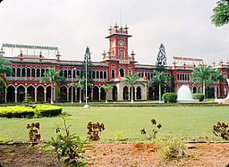 வேளாண்மைப் பல்கலை.யில் 
11-ஆம் தேதி சிறுதானிய திருவிழா