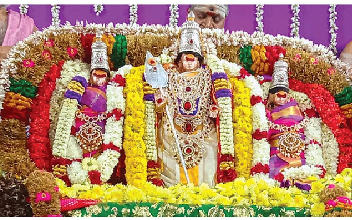 பழனியில் திருக்கல்யாணம், வெள்ளித் தேரோட்டம்: இன்று தைப் பூசத் தேரோட்டம்