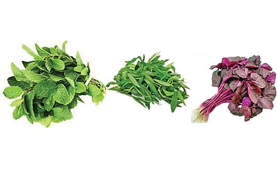 உடல் வளர்க்கும் கீரைகள்!