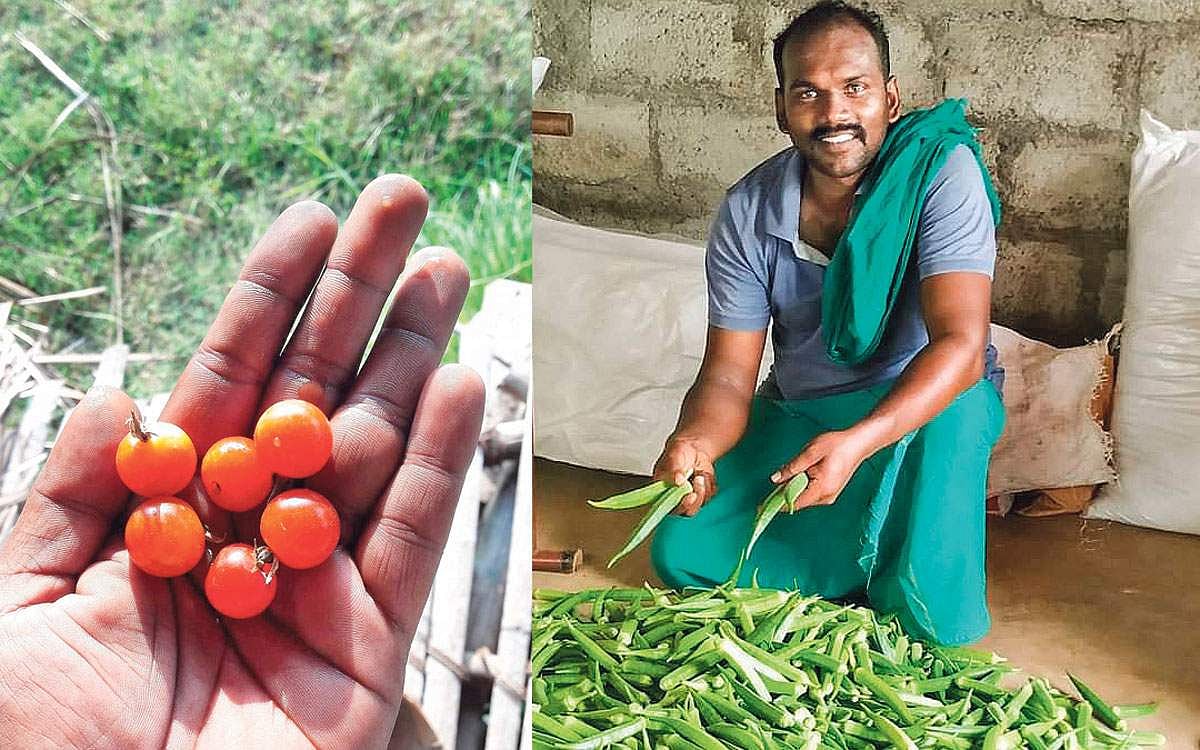 உடல் நலனைக் காக்கும் கேடயம்!