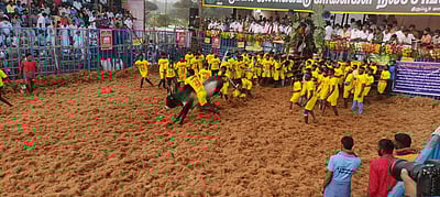 அலகுமலை ஜல்லிக்கட்டு: தொடங்கி நடைபெற்று வருகிறது