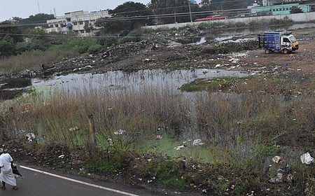 மீன் சந்தையா? மது அருந்தும் மைதானமா?