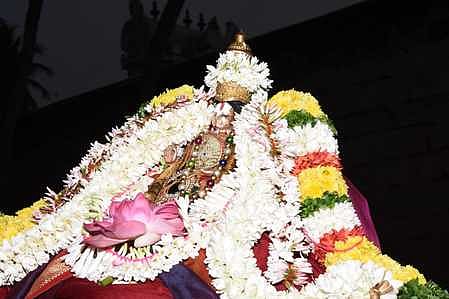 திருமோகூரில் ஆழ்வாருக்கு மோட்சம் அருளிய வைபவம்