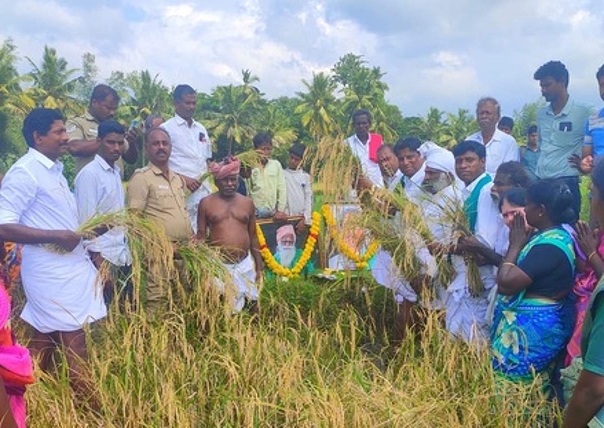 News image