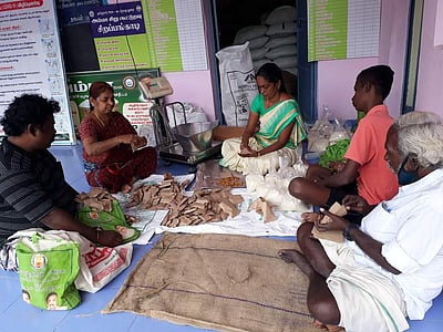 5.20 லட்சம் குடும்ப அட்டைதாரா்களுக்கு பொங்கல் பரிசுத் தொகுப்பு இன்று (ஜன.4) முதல் விநியோகம்