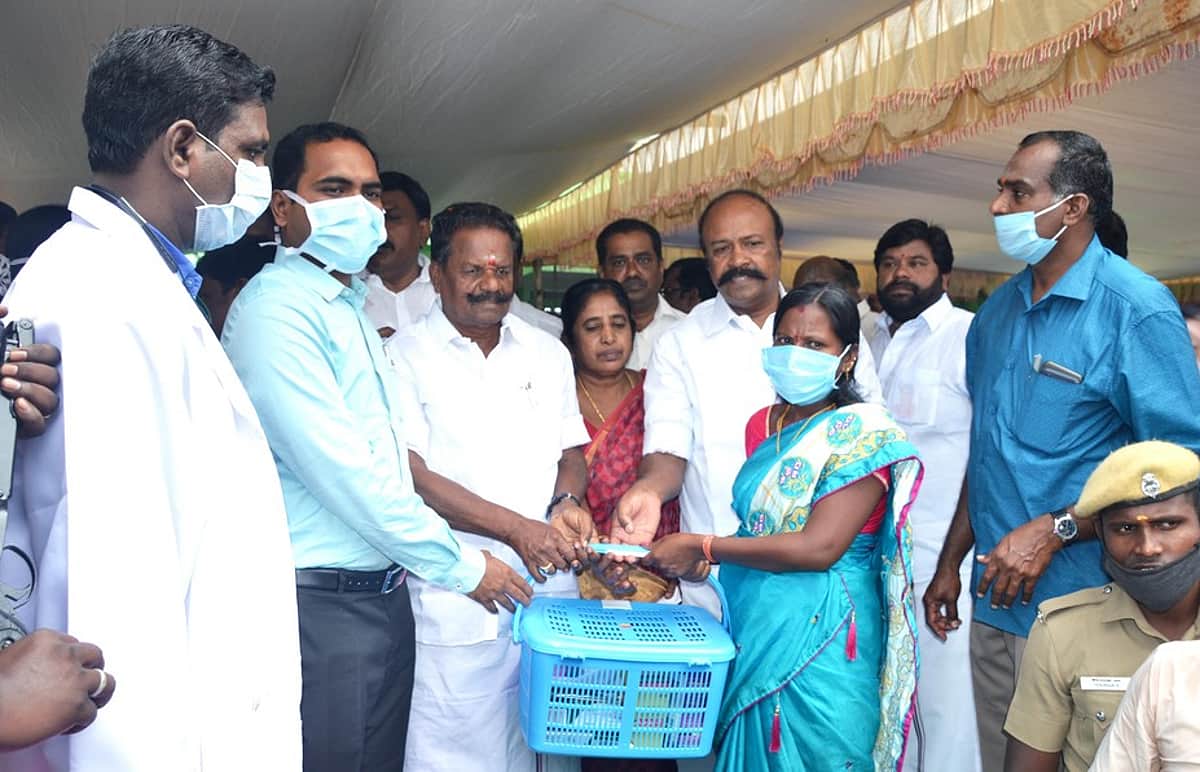 News image