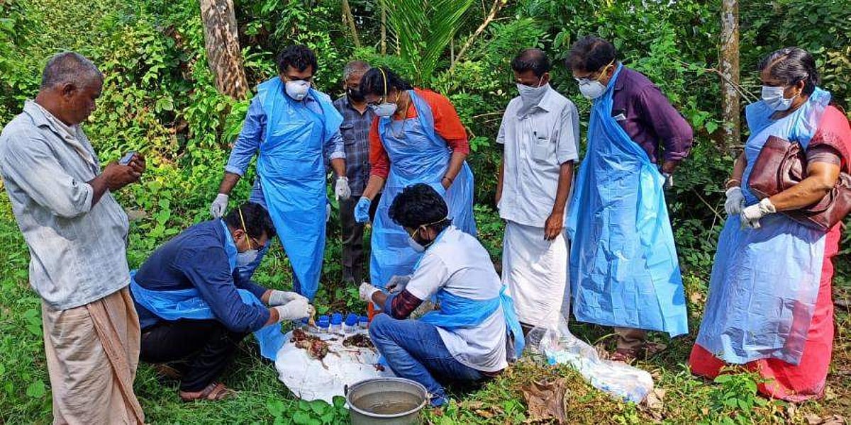 கேரளத்தின் 2 மாவட்டங்களில் பறவை காய்ச்சல் பாதிப்பு: 40,000 வாத்துகள், கோழிகளை அழிக்க முடிவு