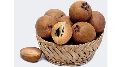 சப்போட்டாவின் சத்துகள்!