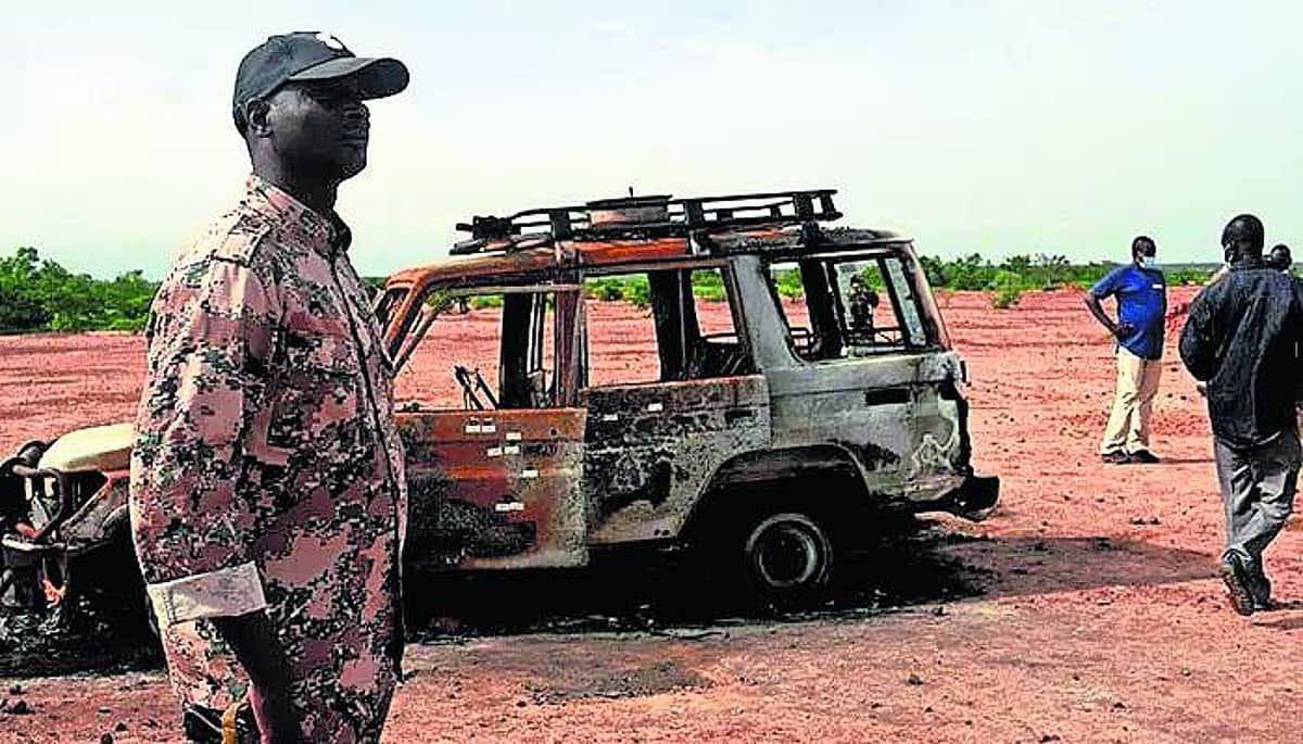 News image