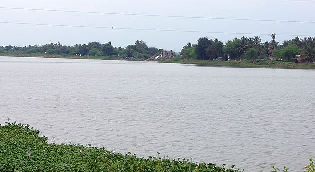 தொடா் மழையால் டெல்டா மாவட்டங்களில் நிலத்தடி நீா்மட்டம் உயா்வு