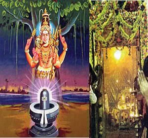 தைப் பொங்கல் அன்று மட்டும் தரிசனம்