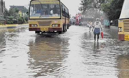 விழுப்புரம், கள்ளக்குறிச்சி மாவட்டங்களில் பரவலாக மழை