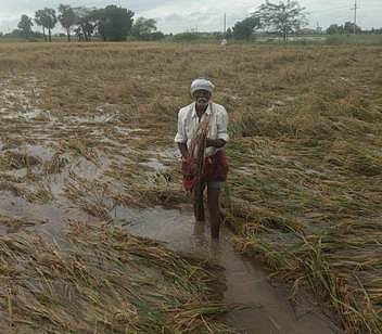 பொன்னேரி: 500 ஏக்கா் நெற்பயிா் நீரில் மூழ்கின