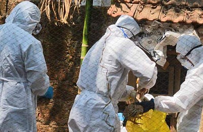 பறவைக் காய்ச்சல்: கேரளம் வந்த  மத்தியக் குழு ஆட்சியர்களுடன் ஆலோசனை