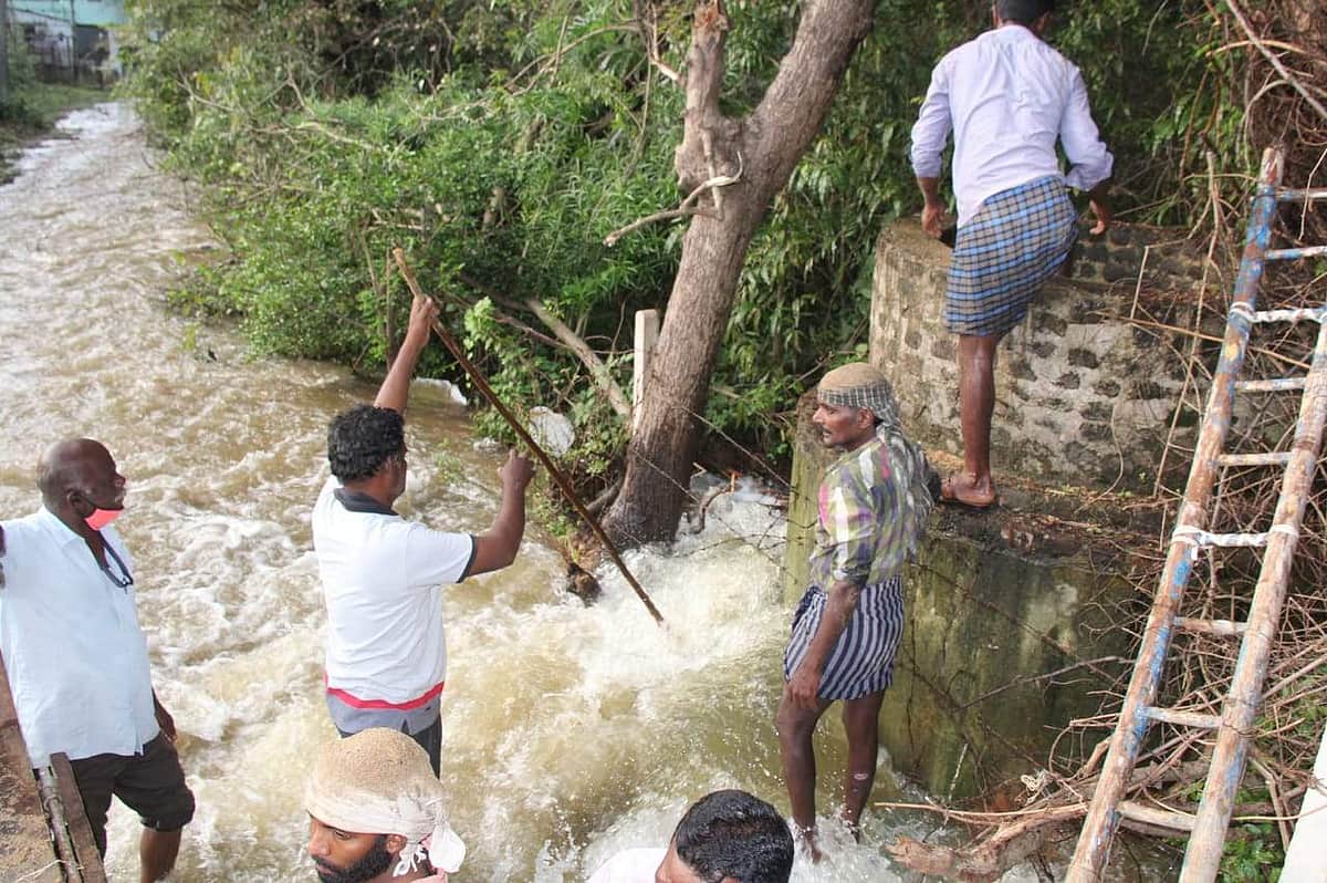 News image